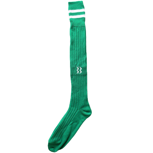 Biemme - Soccer socks - Green/white