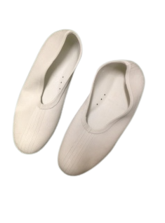 Dina sport - 6000 Swimming Shoes